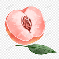 WWW,459se·COM网站APPAPP应用
